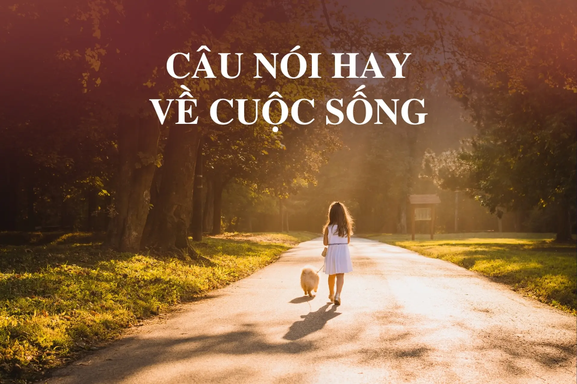 Những câu nói hay về cuộc sống đơn giản và ý nghĩa, giúp bạn thêm động lực mỗi ngày